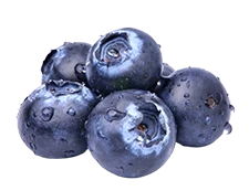 A cluster of fresh blueberries with water droplets on them.